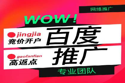 百度推广运营实战技巧：案例教学与实战